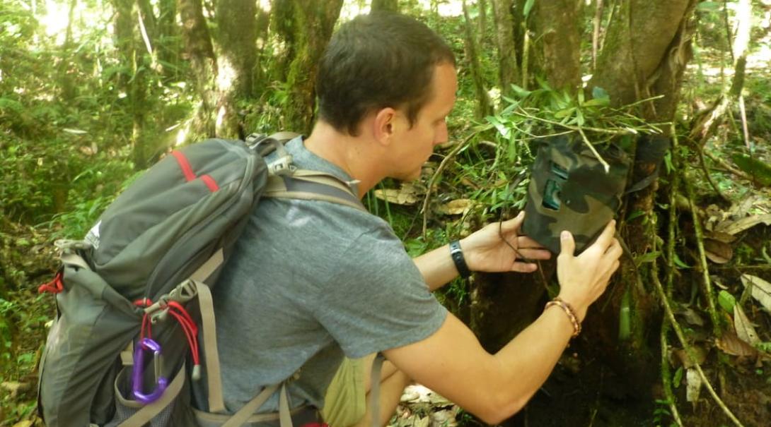 Wildlife Conservation volunteer places a camera trap