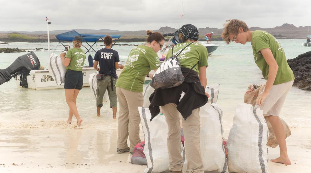 A group of gap semester volunteers doing conservation work in Ecuador clear bags of trash from the beach.