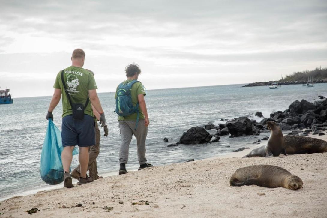 Volunteers clean the coast next to Sea Lions