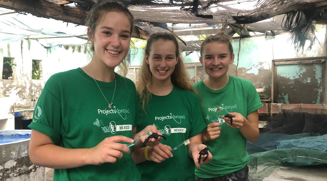Projects Abroad High School Special volunteers cleaning the shells of baby turtles with toothbrushes at our conservation project in Mexico.