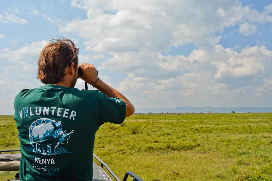 Volunteers conduct surveys in the savannah