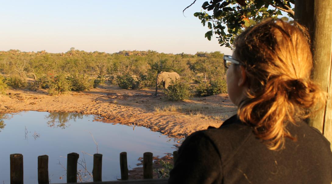 A Conservation volunteer in Botswana