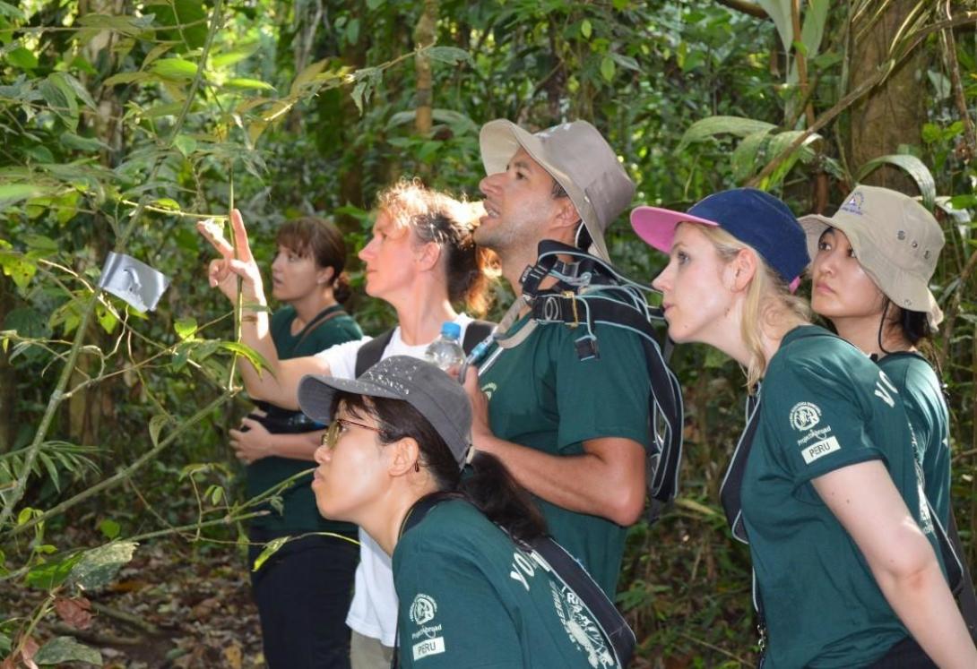 Volunteers exploring the Amazon Rainforest with staff