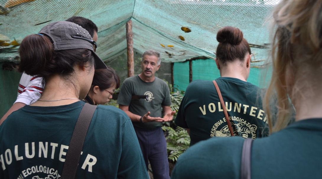 Wildlife volunteers in the Amazon