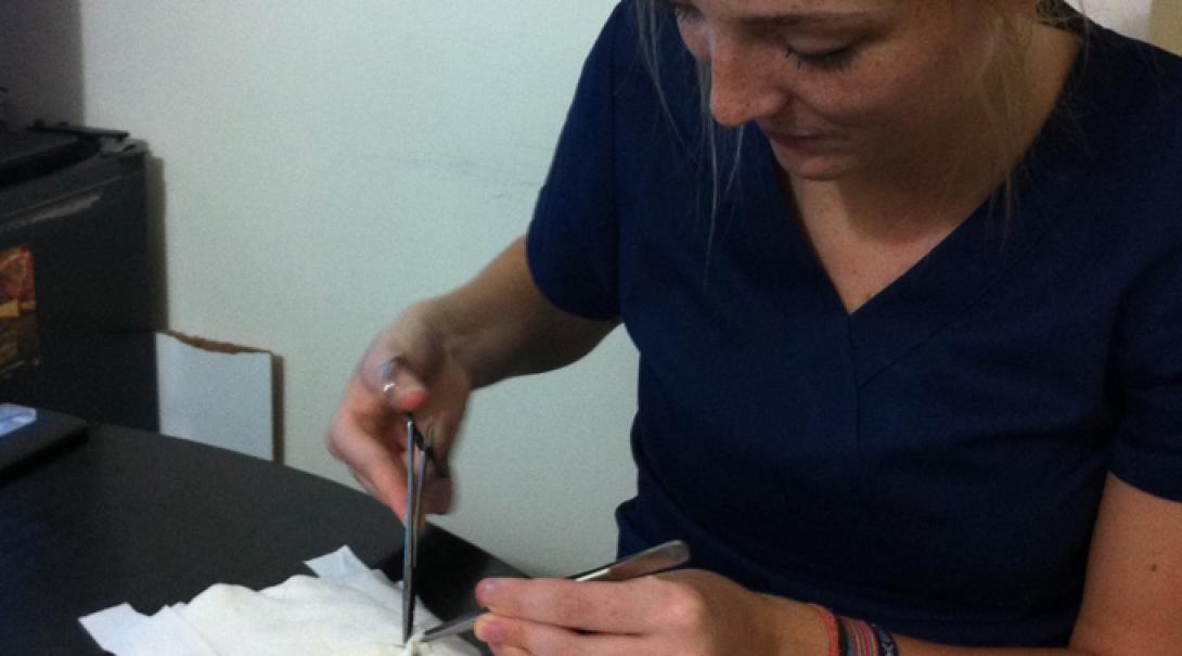 Female medical intern cuts a bandage at a medical workshop as part of her Medicine work placement in Argentina.