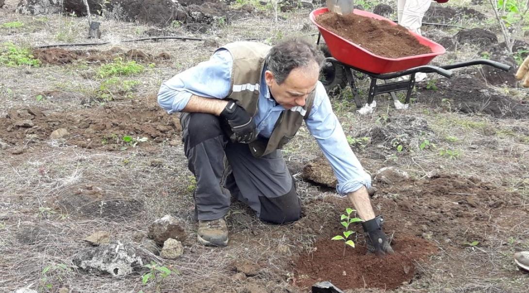 As part of his Conservation work in Ecuador for older adults, a Projects Abroad volunteer helps planting indigenous plants.