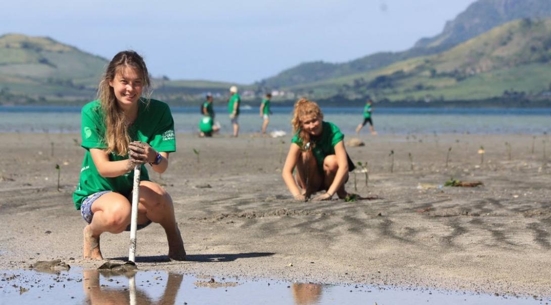 Volunteers are pictured planting mangroves as part of their shark conservation volunteering in Fiji with Projects Abroad.