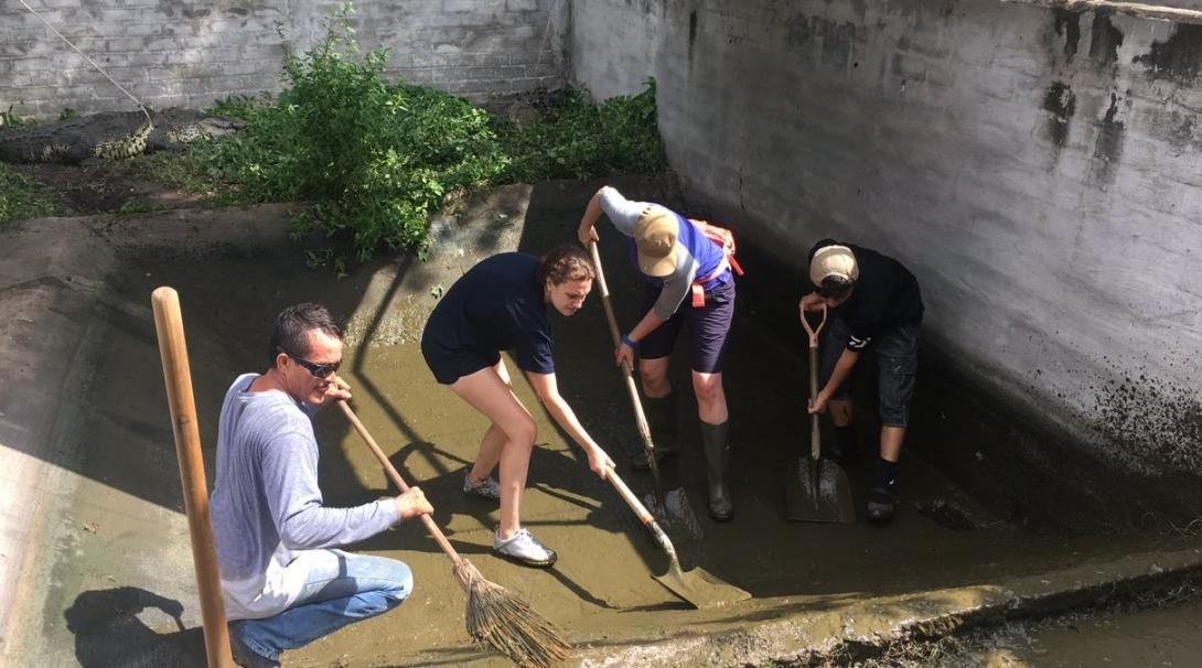 A group cleans a crocodile enclosure for their conservation volunteering in Mexico.