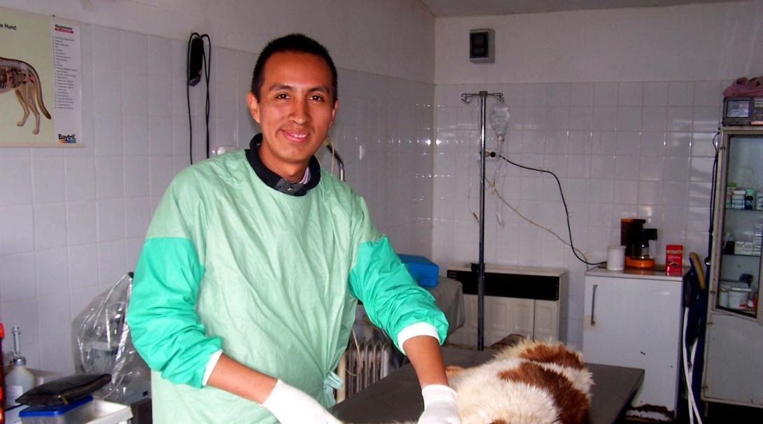 A volunteer working with animals in Romania, observes a vet as he does a simple procedure on a dog.