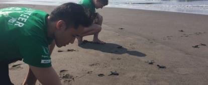 Students release turtles for their conservation volunteering in Mexico.