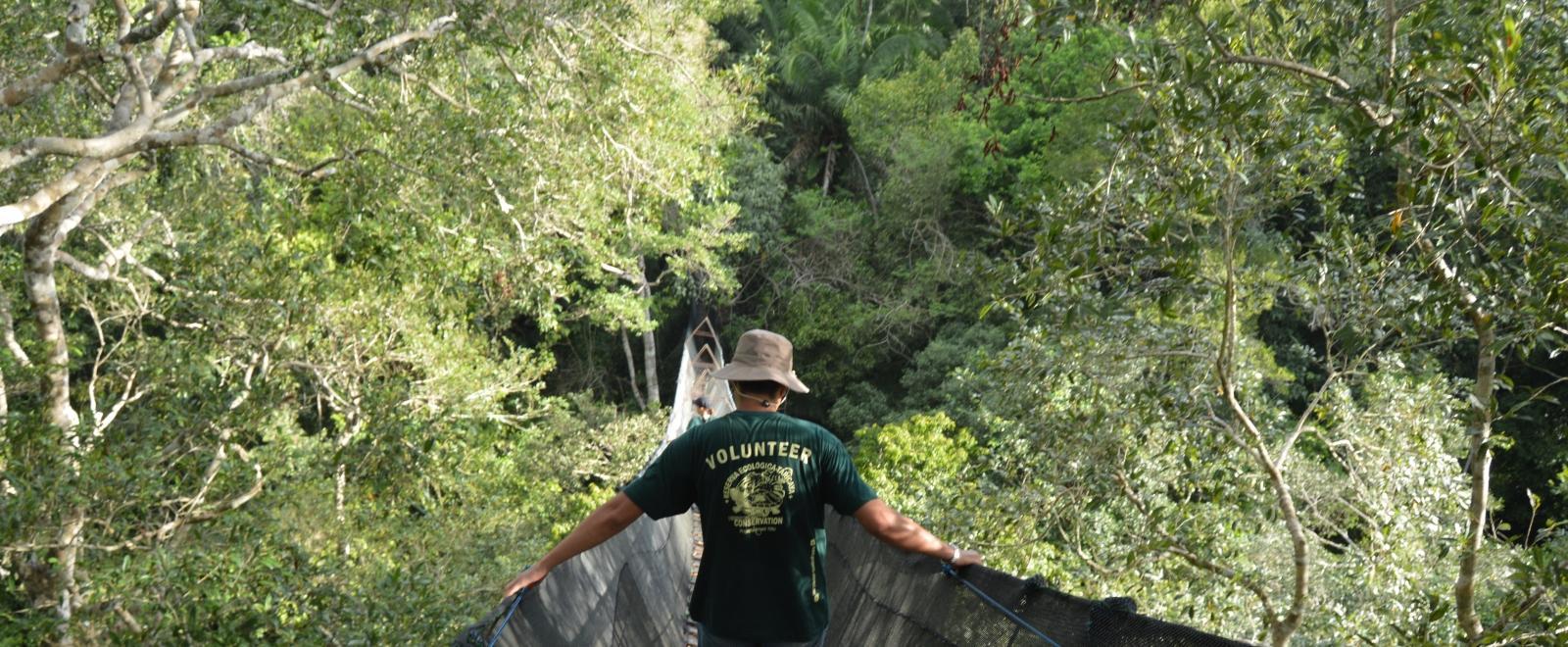 Projects Abroad volunteers experiences the Amazon from the highest treetop canopy in South America. 