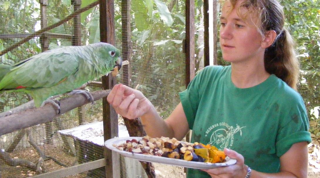 A Conservation volunteer feeds one of the birds in the rehabilitation centre in Peru