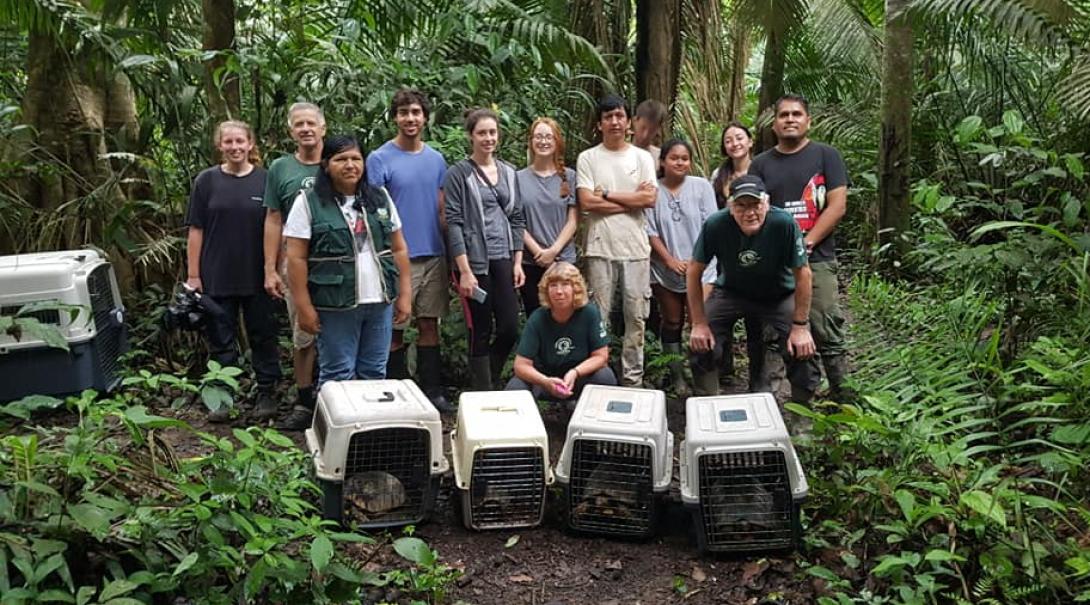 Projects Abroad volunteers stand behind kennels of tortoises that are going to be released into the wild