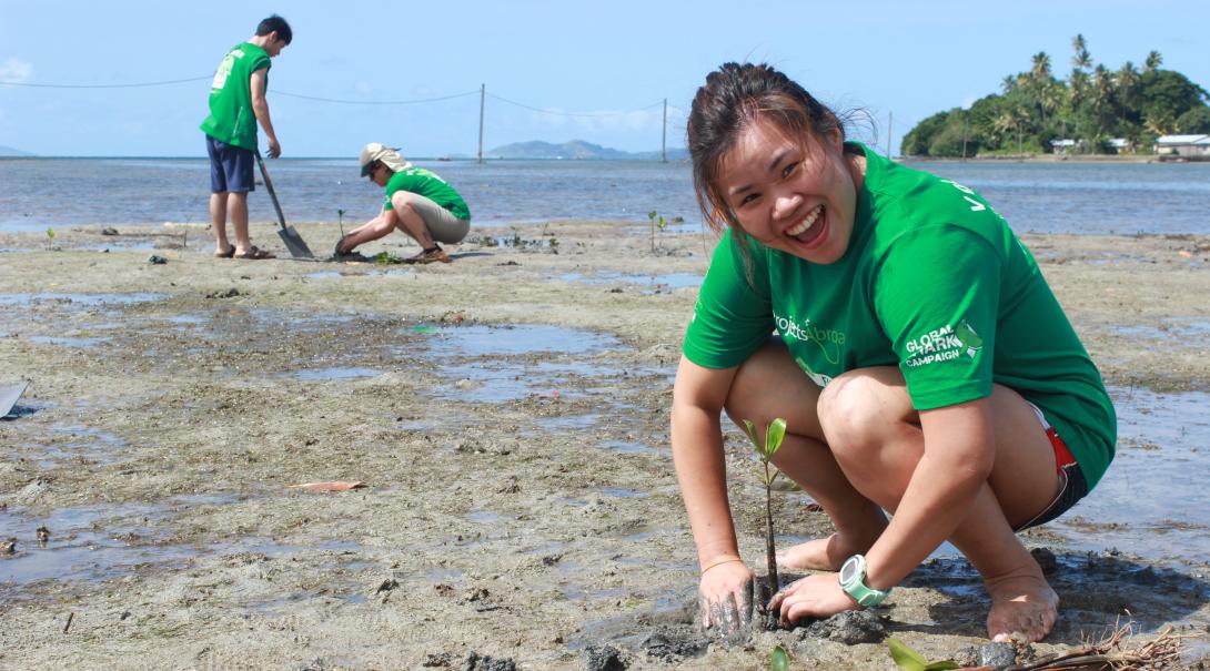 A Projects Abroad Conservation volunteer plants mangroves during her volunteer work abroad in Fiji