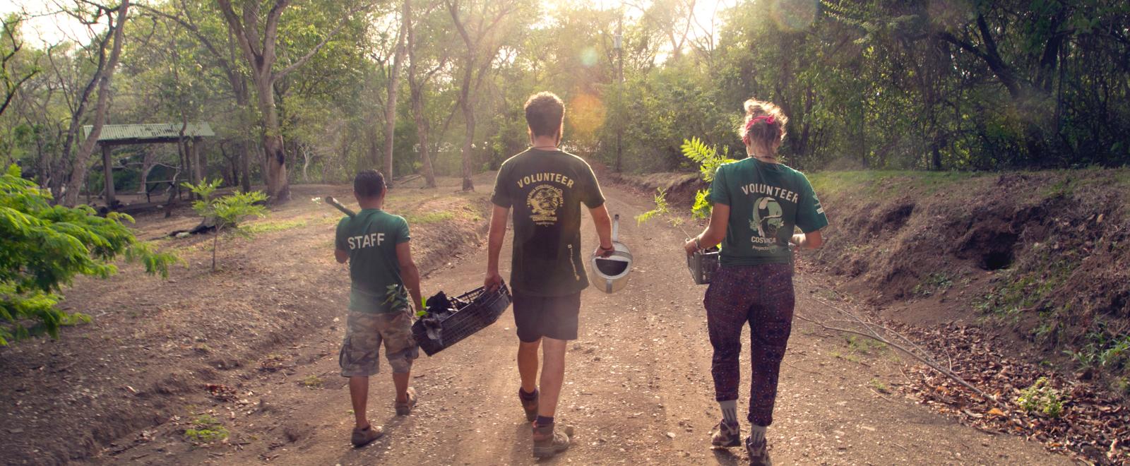 Projects Abroad staff and volunteers carry trees after planting saplings in Costa Rica