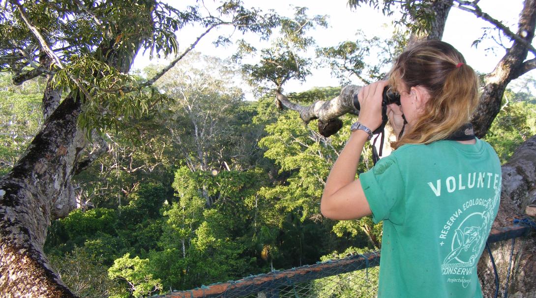 Conservation volunteer doing a wildlife survey in the Amazon Rainforest in Peru