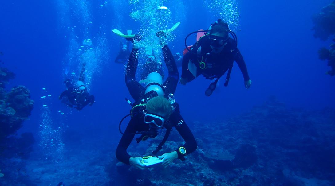 Volunteers underwater collecting data in a shark conservation project in Fiji