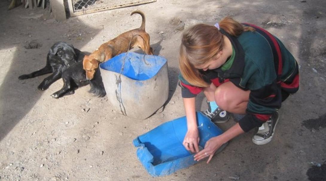 Animal care volunteer makes sure the dogs have fresh water at her placement in Argentina.