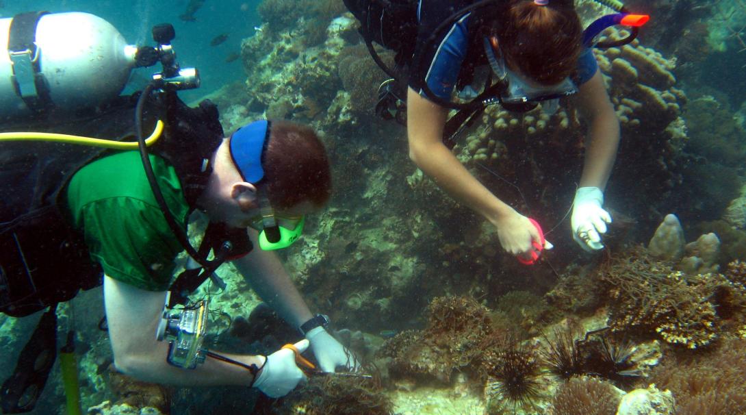 Projects Abroad volunteers clear fishing nets from the coral reefs during their Conservation Project in Thailand