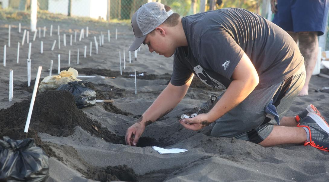 A Projects Abroad Conservation volunteer in Mexico cleans the remains of a recently hatched sea turtle nest.
