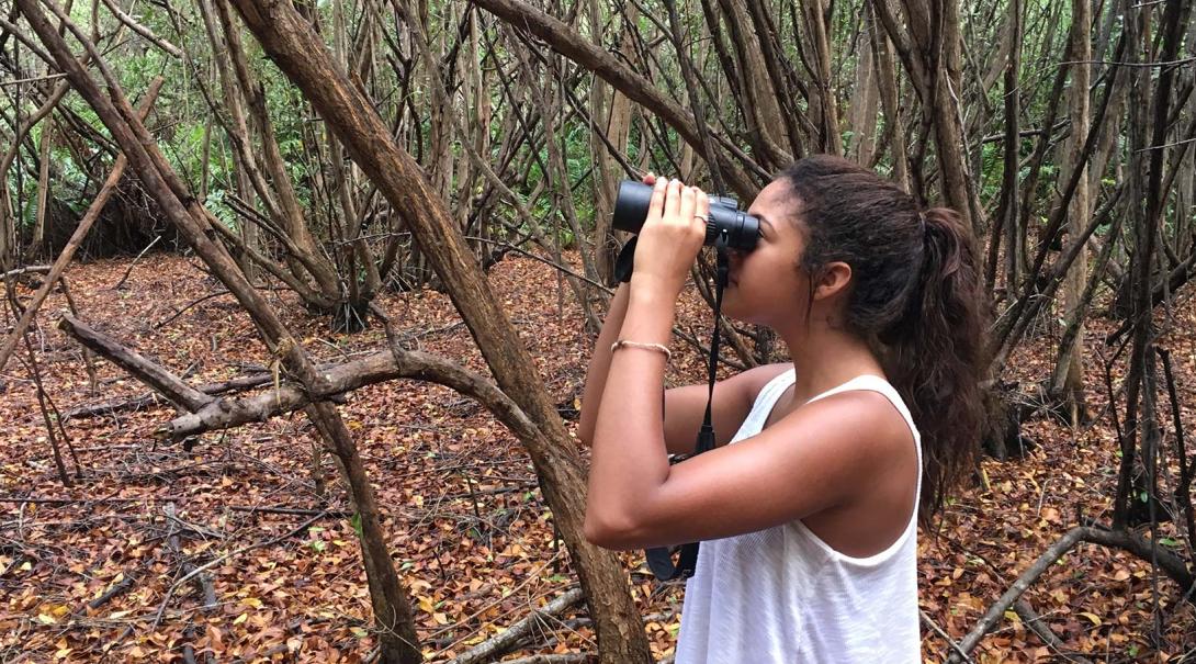 A Projects Abroad Conservation volunteer in Mexico looking through binoculars during a bird survey.