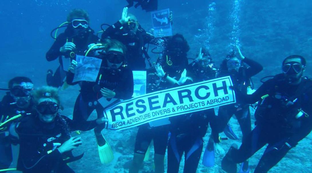 Shark Conservation volunteers hold up a research sign during their survey dive in Fiji.