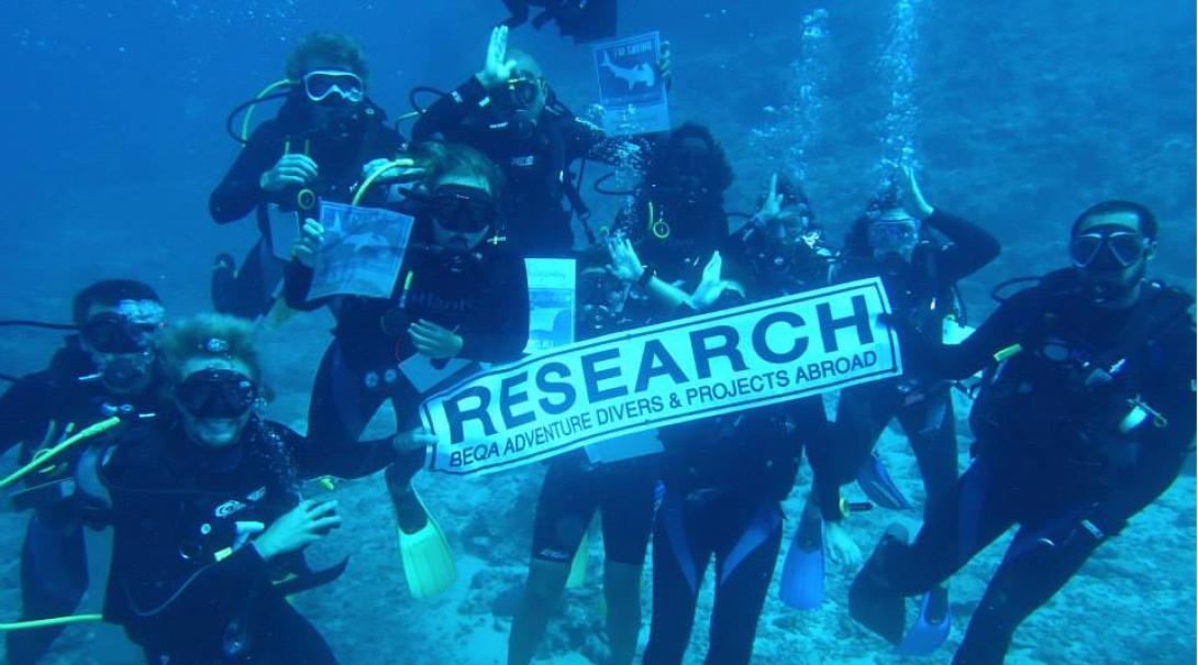 Shark Conservation interns hold a research sign underwater in Fiji.