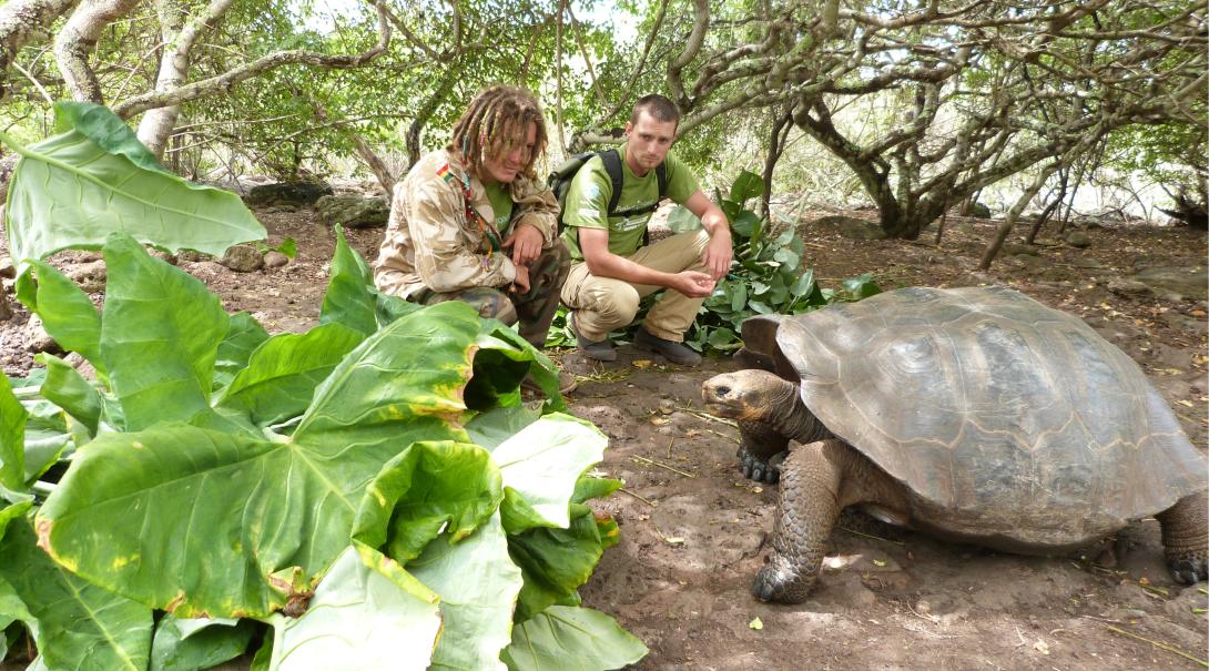 Conservation interns feed a giant tortoise in the Galapagos Islands.
