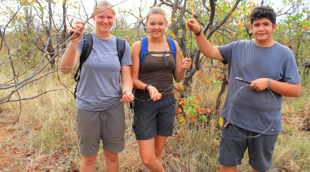 Teenage volunteers removing snares to protect wildlife in Botswana.