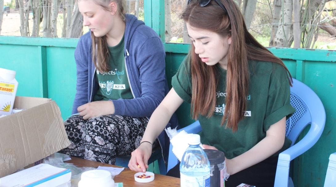 A couple of teenage medical volunteers prepare medicines and equipment for a medical outreach in Kenya while doing their medical internship with Projects Abroad.