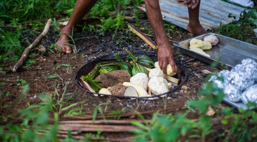 A local Samoan cooking some food in a traditional earth oven called an umu