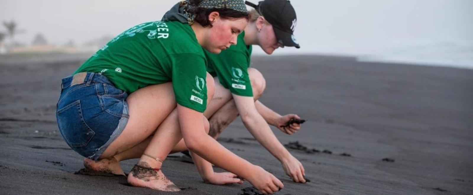 Volunteers work with sea turtles in Mexico on a project for teenagers  