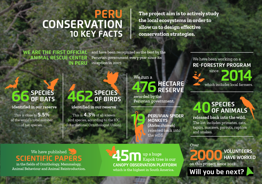 Interesting facts about conservation volunteering in Peru with projects abroad
