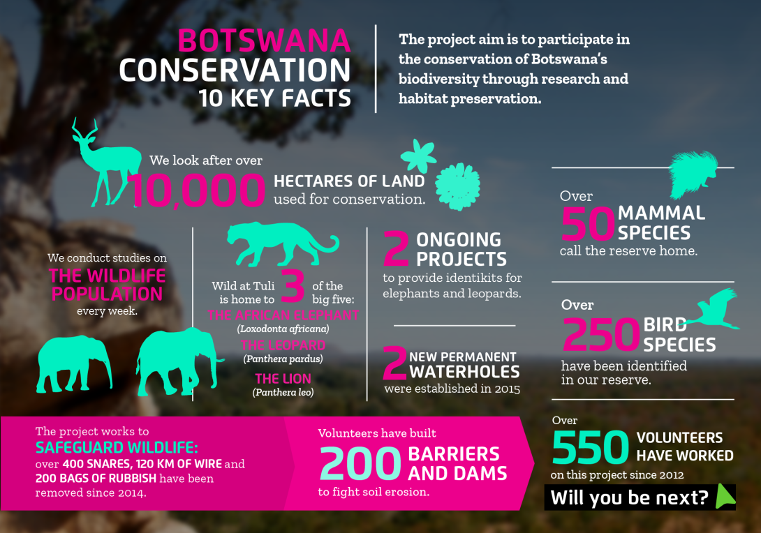 Interesting facts about conservation volunteering in Botswana with projects abroad