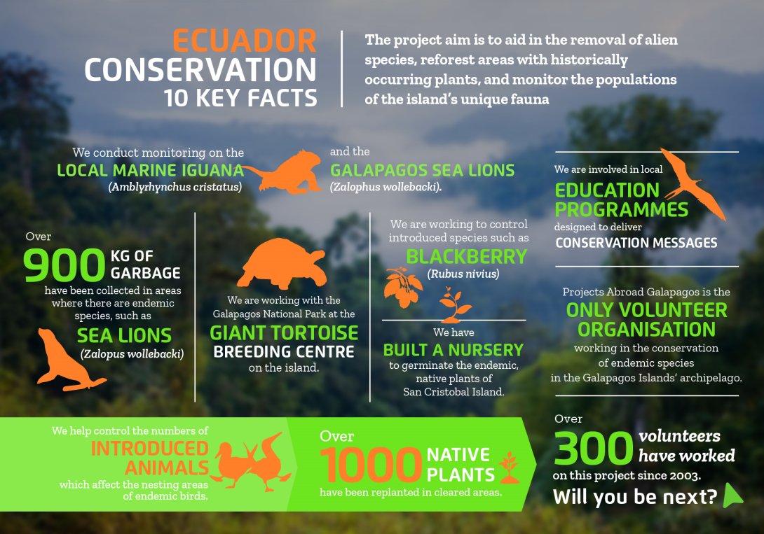 Interesting facts about conservation volunteering in Ecuador with projects abroad