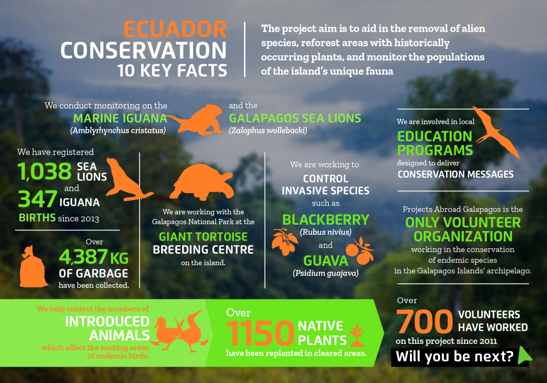 Interesting facts about conservation volunteering in Ecuador with projects abroad