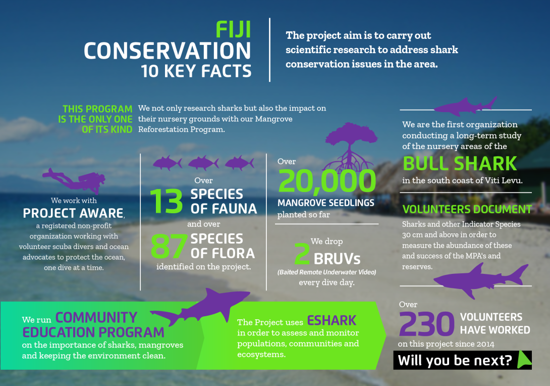 Interesting facts about conservation volunteering in Fiji with projects abroad