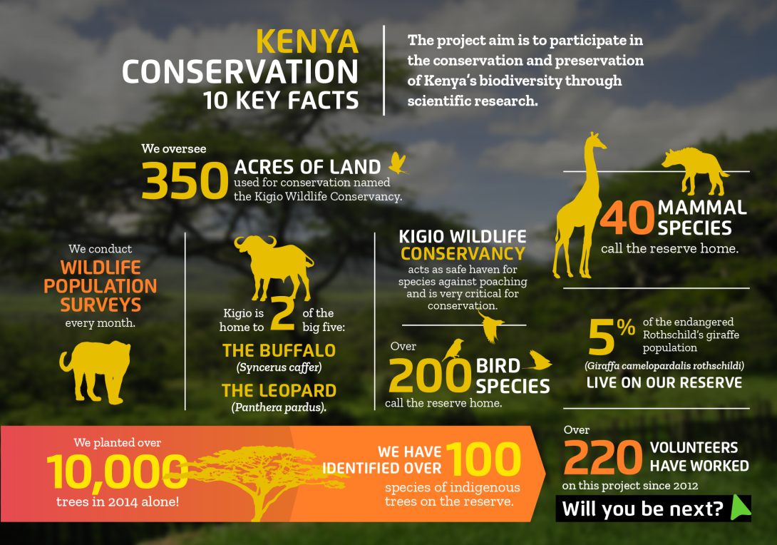 Interesting facts about conservation volunteering in Kenya with projects abroad